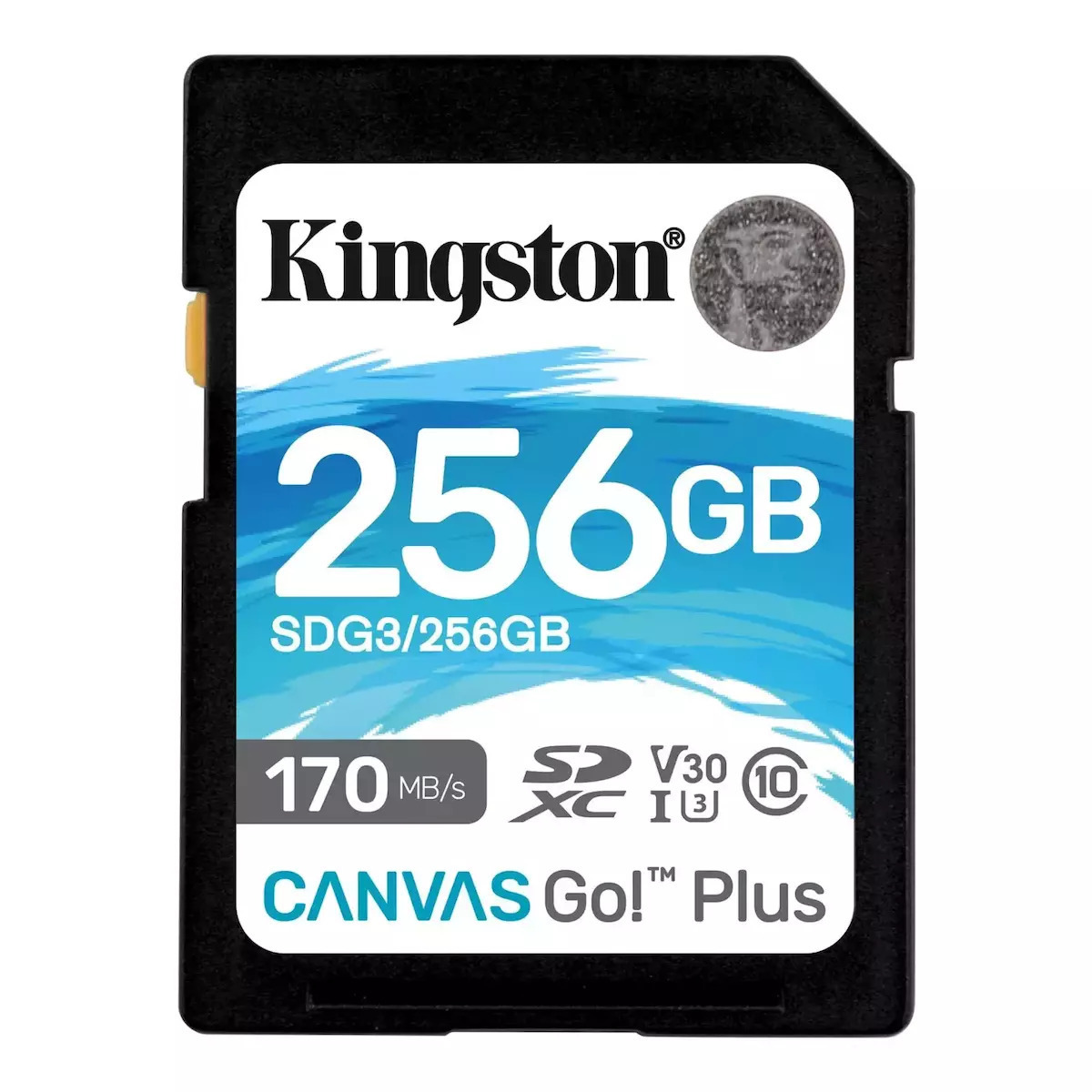 Kingston Canvas Go Plus SDXC 256GB Class 10 U3 V30 A2 UHS-I - Image 3
