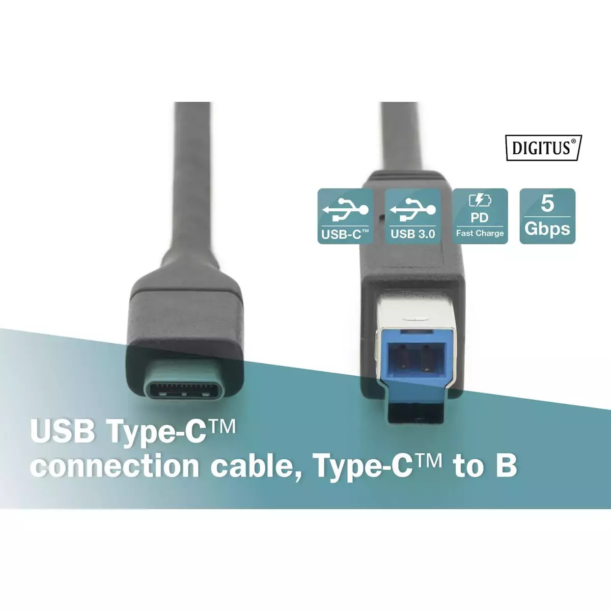 Digitus USB 2.0 USB-C male - USB-B 1m (AK-300149-010-S) - Image 4
