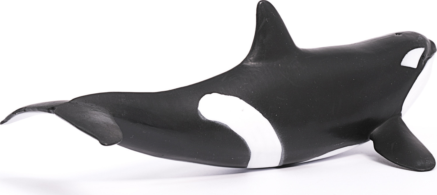 Schleich-S Παιχνίδι Μινιατούρα Wild Life Orca για 3+ Ετών - Image 4