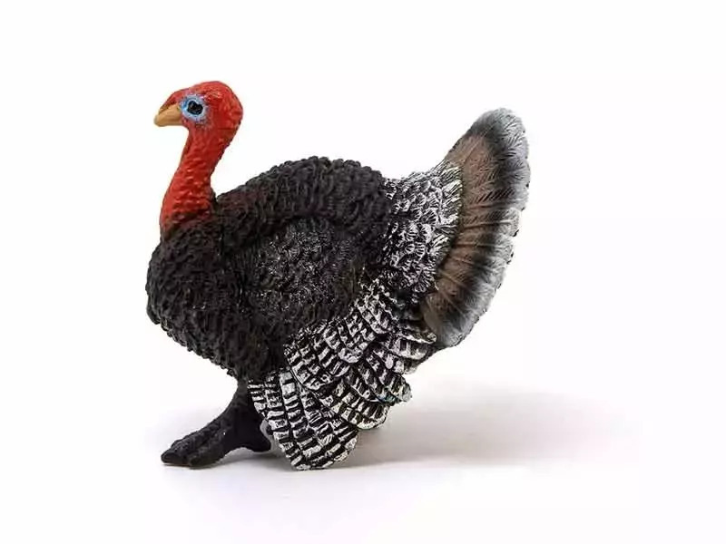 Schleich-S Παιχνίδι Μινιατούρα Turkey Farm World - Image 4