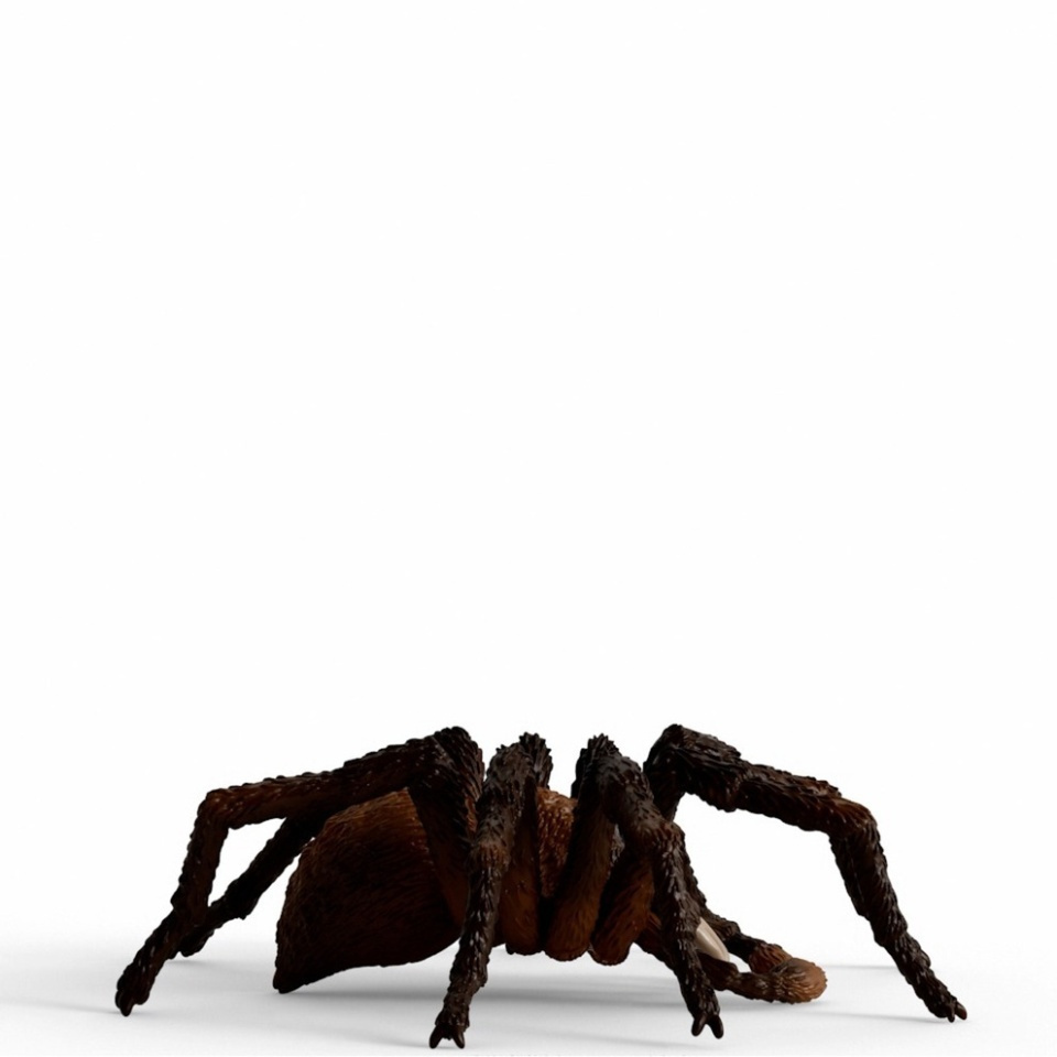 Schleich-S Παιχνίδι Μινιατούρα Aragog για 3+ Ετών - Image 5