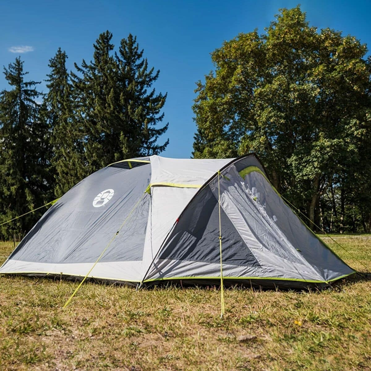 Coleman Darwin 4 Plus Igloo Πράσινη - Image 5