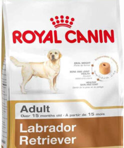 Alternative view of Royal Canin Adult Labrador Retriever