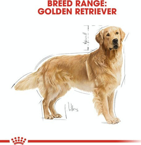 Royal Canin Adult Golden Retriever - Image 6