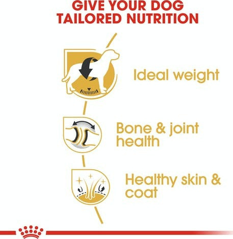 Royal Canin Adult Labrador Retriever - Image 5