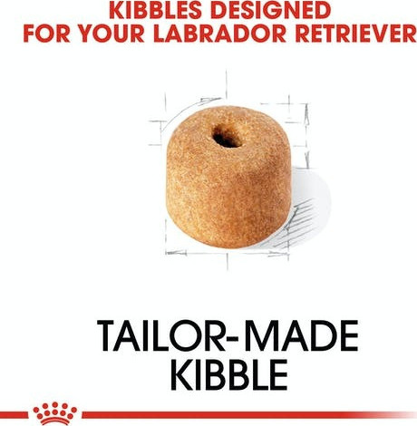 Royal Canin Adult Labrador Retriever - Image 4
