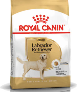Royal Canin Adult Labrador Retriever