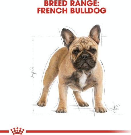 Royal Canin Adult French Bulldog 3kg - Image 6