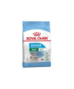 Alternative view of Royal Canin Starter Mother & Babydog Mini 1kg Ξηρά Τροφή για Κουτάβια Μικρόσωμων Φυλών με Καλαμπόκι, Πουλερικά και Ρύζι