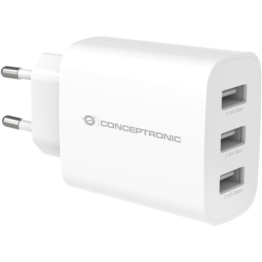 Conceptronic ALTHEA13W Χωρίς Καλώδιο 30W