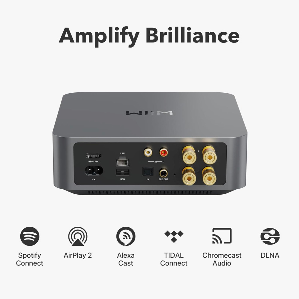 Wiim Amp-dark Grey - Image 4
