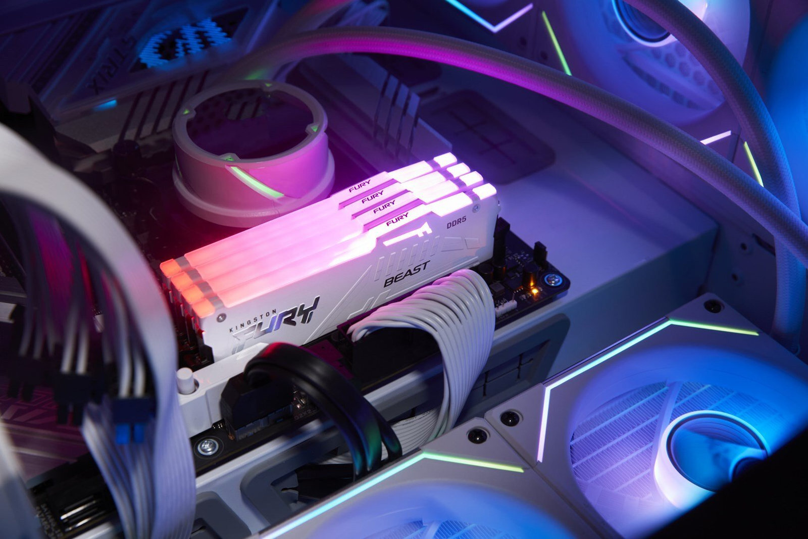 Kingston Fury Beast RGB DDR5 με Module 1x32GB και Ταχύτητα 6000 για Desktop KF560C36BWEA-32 - Image 7