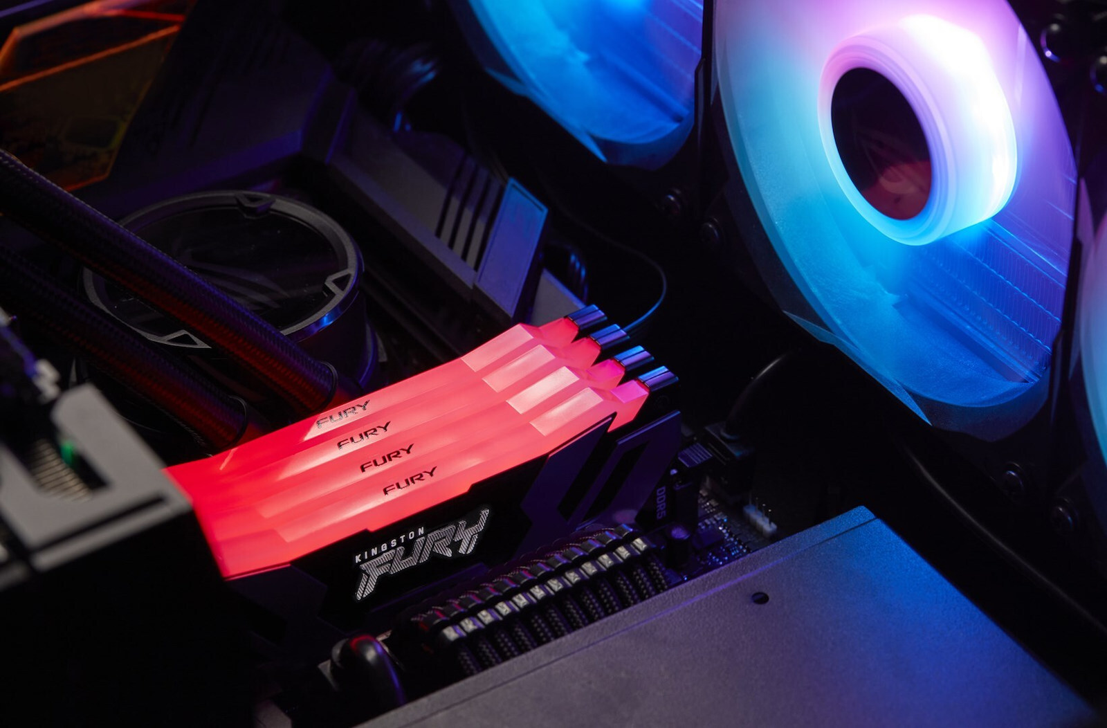 Kingston Fury Renegade RGB 48GB DDR5 με 2 Modules 2x24GB - Image 4
