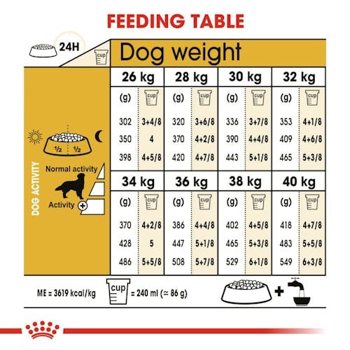 Royal Canin Adult Golden Retriever - Image 8