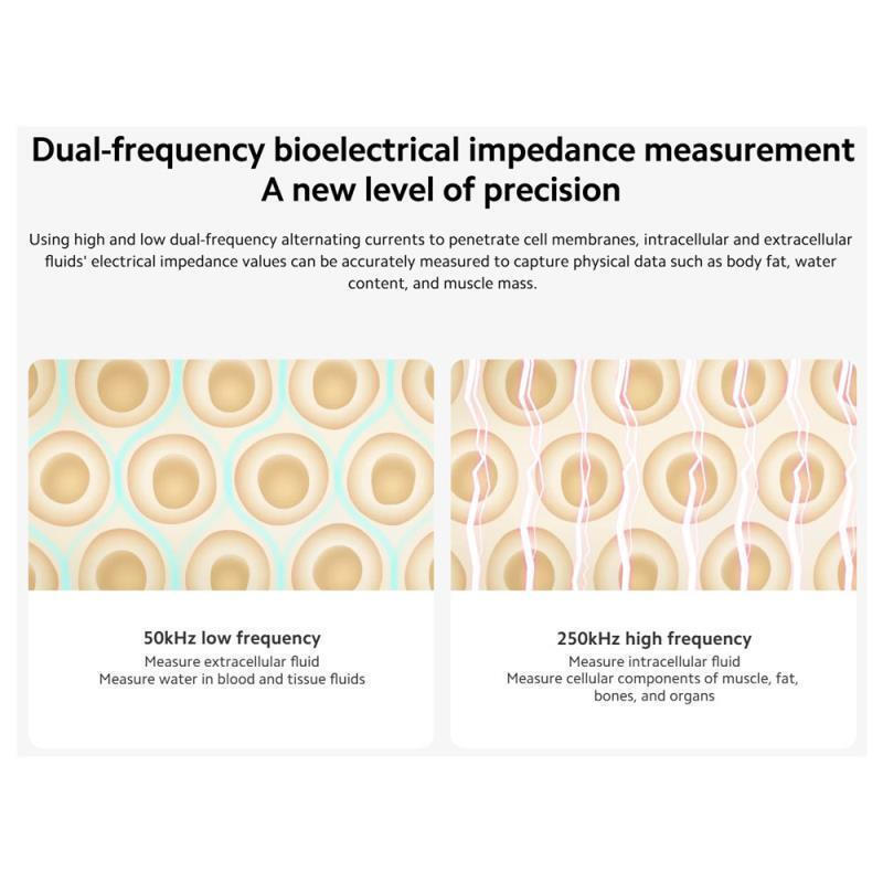 Xiaomi Body Composition S400 Smart Ζυγαριά 150kg - Image 12