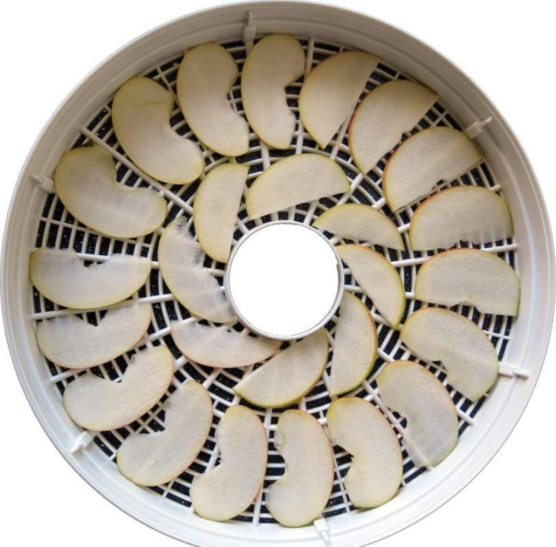 MPM MSG-01 Αποξηραντής Τροφίμων με 5 Ράφια - Image 6
