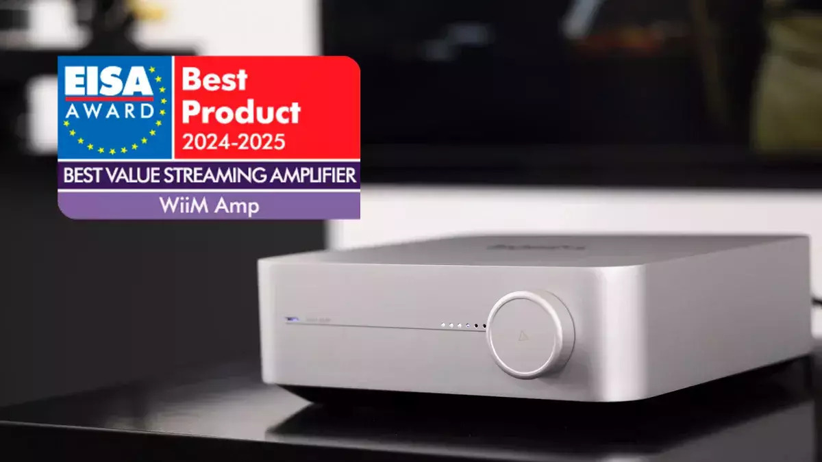 WiiM Phono Preamp Ασημί - Image 4
