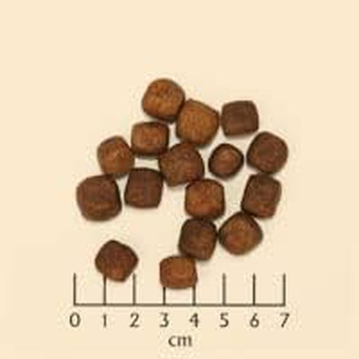 Wolfsblut 12.5kg Ξηρά Τροφή χωρίς Σιτηρά & Γλουτένη για Ενήλικους Σκύλους με Πέστροφα, Πατάτες και Ψάρια - Image 6