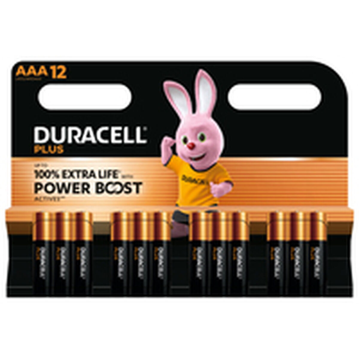 Duracell AAA 1.5V DPBLR3B12 - Image 9