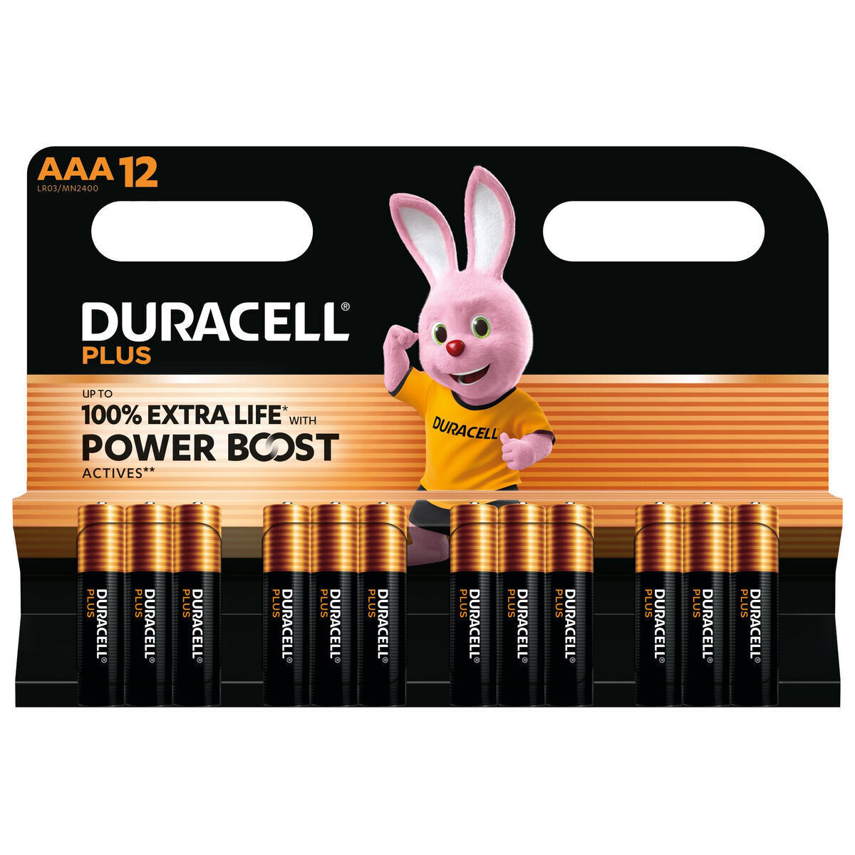 Duracell AAA 1.5V DPBLR3B12 - Image 10