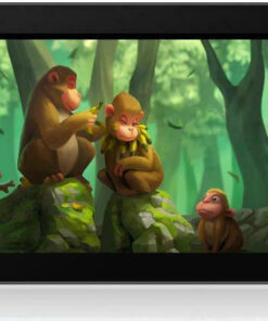 Huion Kamvas Pro 16 Γραφίδα Σχεδίασης με Όθονη FHD 15.6"
