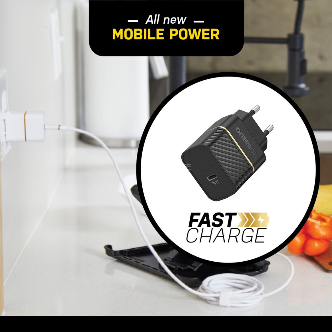 Otterbox 78-80483 USB-C Χωρίς Καλώδιο 30W - Image 3