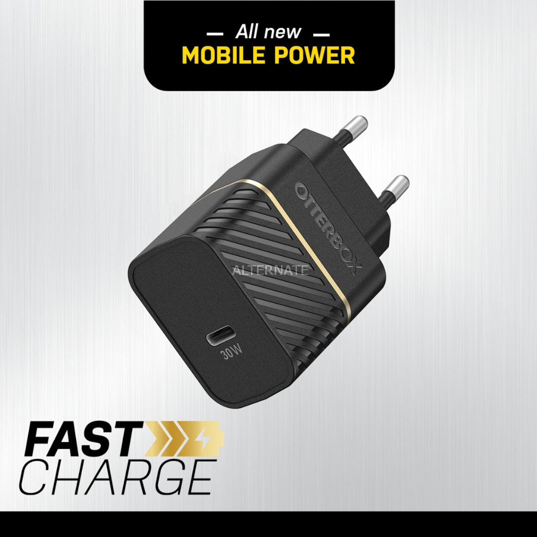 Otterbox 78-80483 USB-C Χωρίς Καλώδιο 30W - Image 4