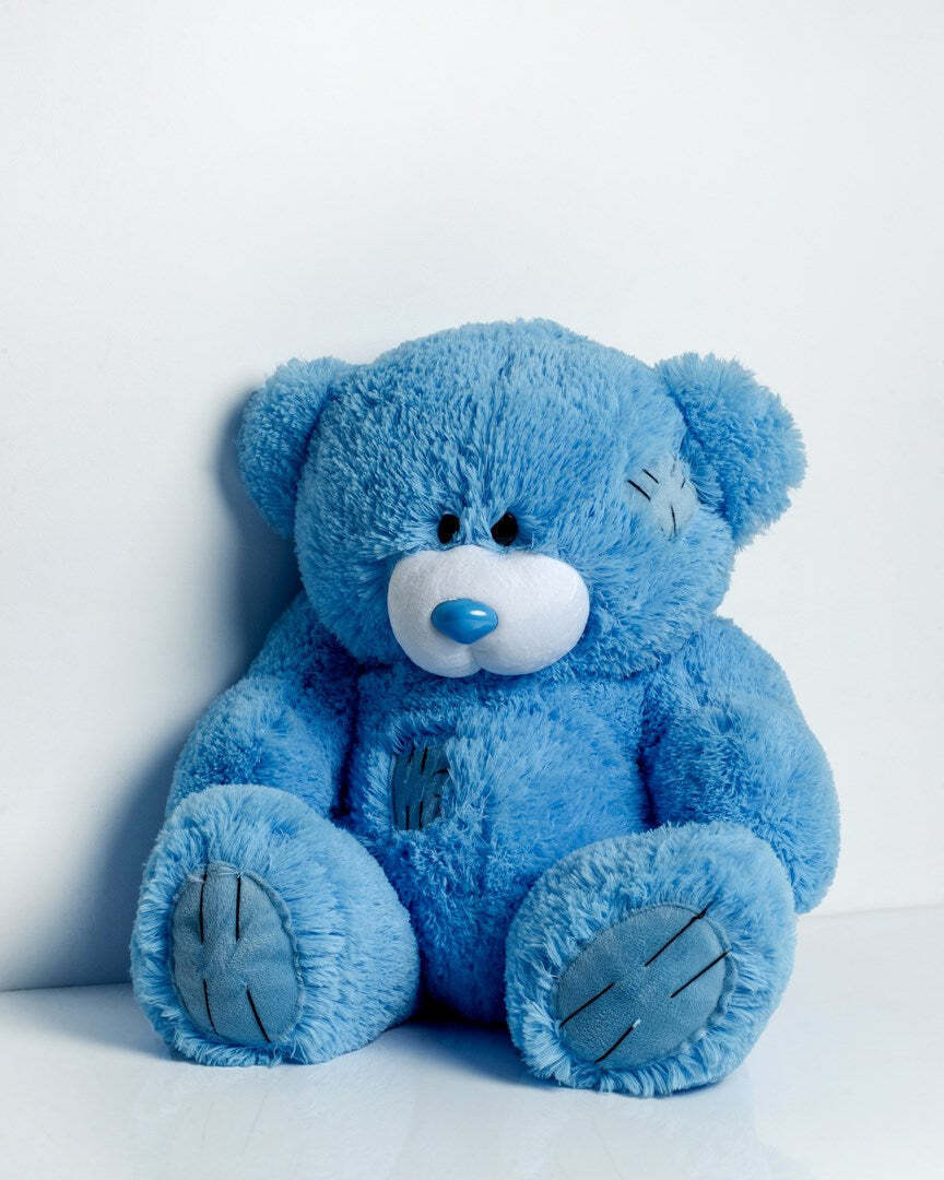 Go Gift Αρκουδάκια Blue 60 εκ.