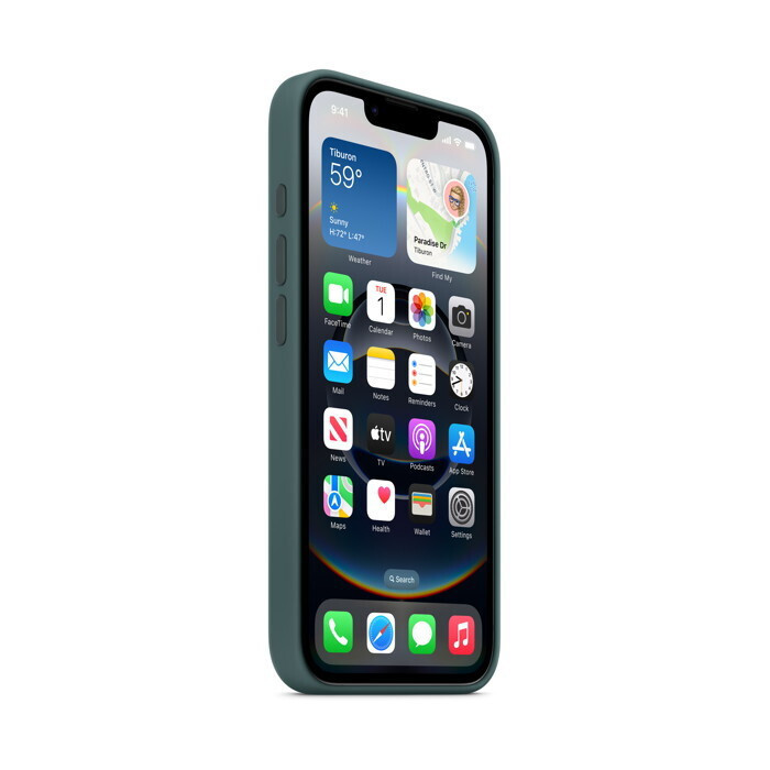 Apple Silicone Case Back Cover Σιλικόνης Πράσινο (iPhone 16e) MD3X4ZM/A - Image 3