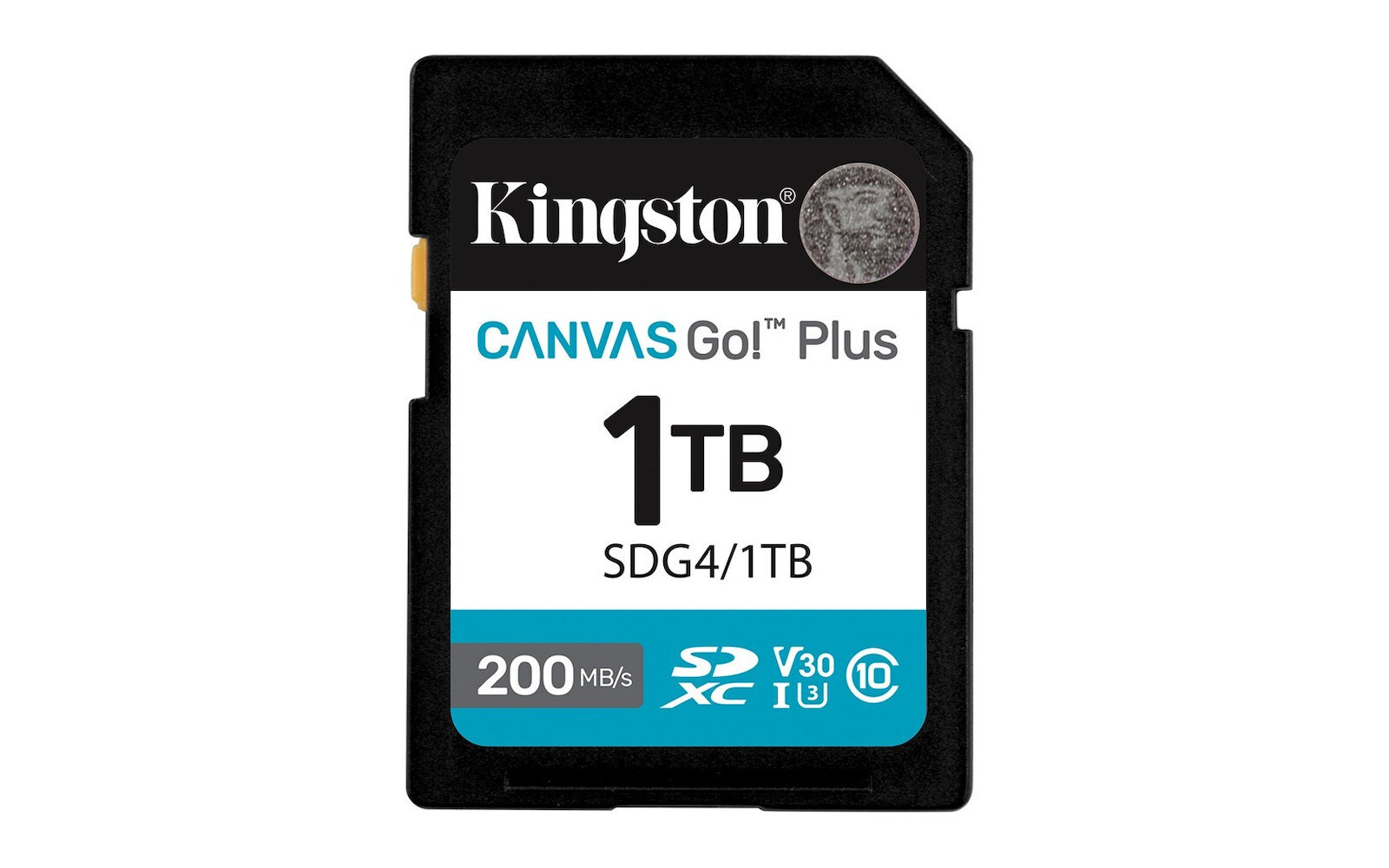 Kingston Canvas Go Plus microSDXC Class 10 U3 V30 UHS-I