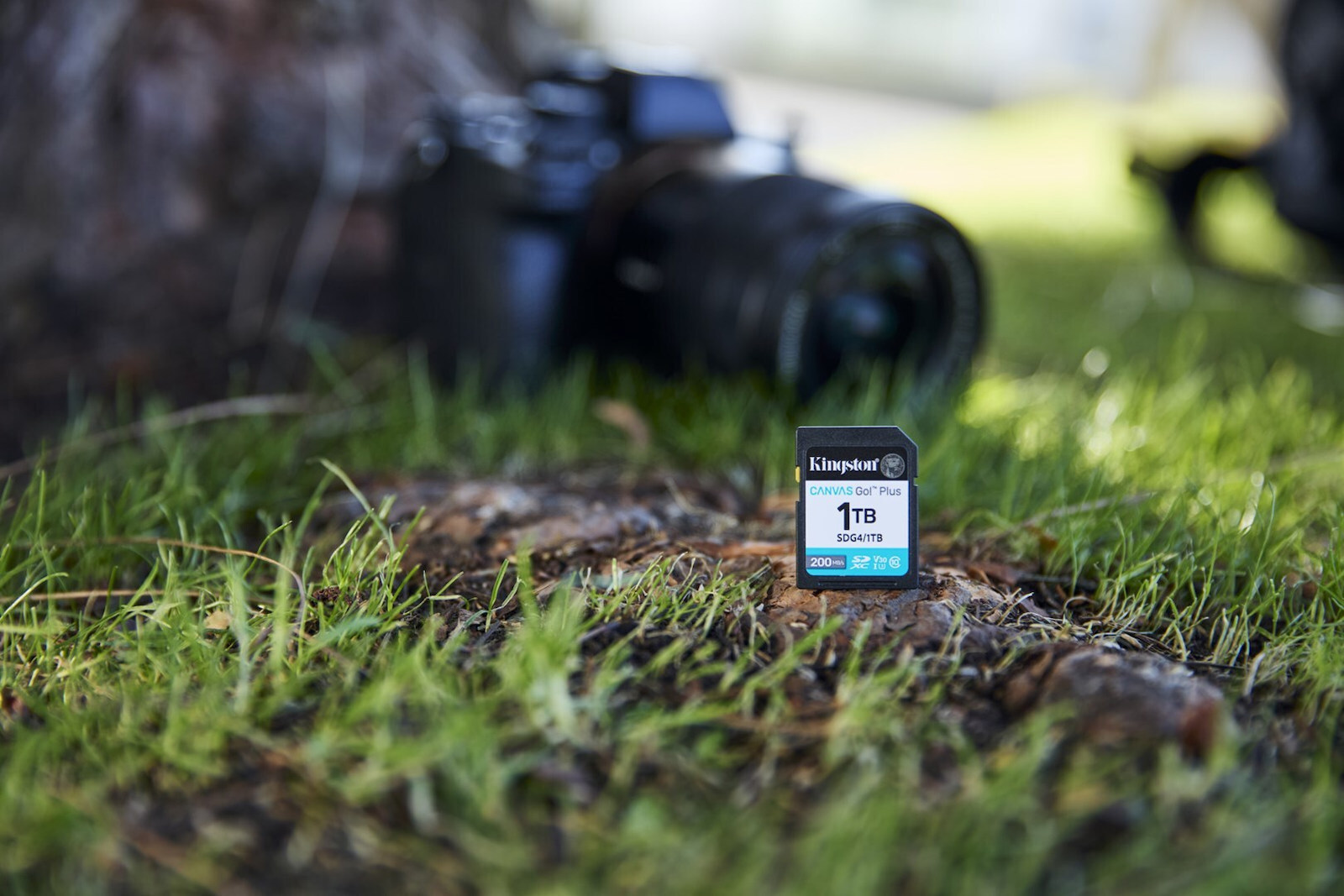 Kingston Canvas Go Plus microSDXC Class 10 U3 V30 UHS-I - Image 4