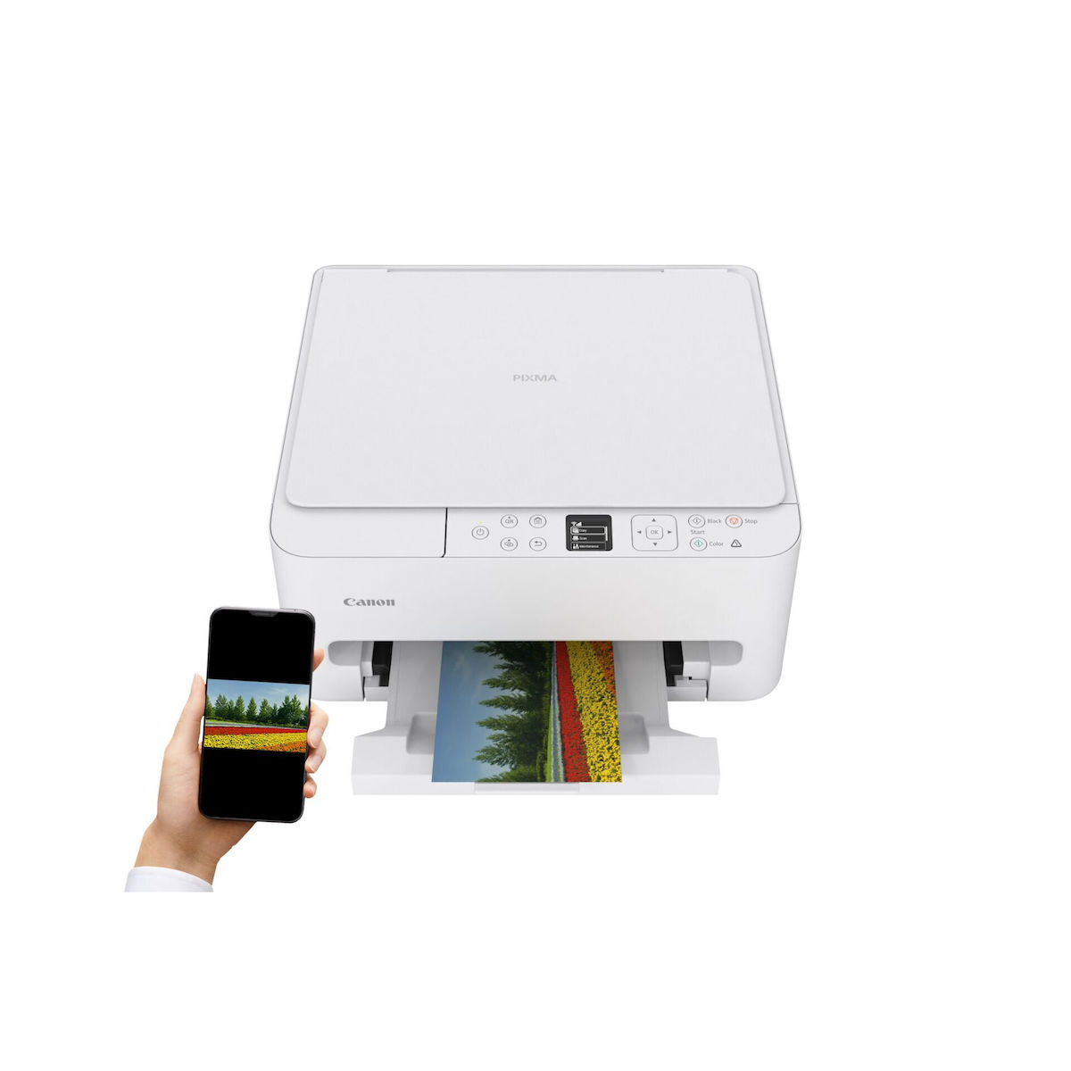 Canon PIXMA TS 6550i Έγχρωμο Πολυμηχάνημα Inkjet - Image 5