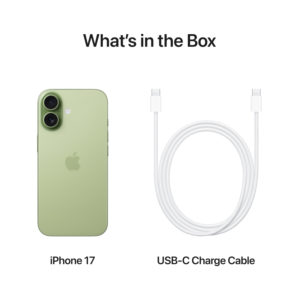 Apple iPhone 17 (8/512GB) Sage - Image 6