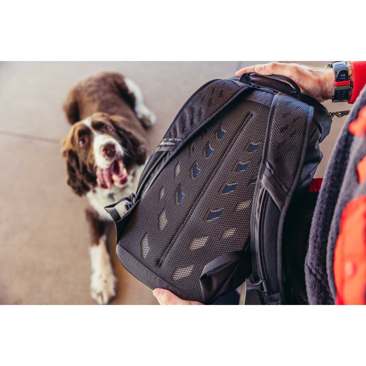 Gregory Backpack 16lt Μαύρο - Image 3