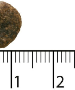 Alternative view of Bozita 11kg Ξηρά Τροφή Σκύλων χωρίς Σιτηρά με Αρνί