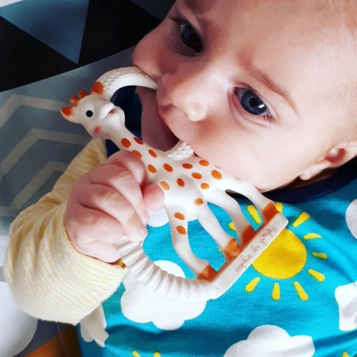 Sophie La Girafe Μασητικό Οδοντοφυΐας "Sophie the Giraffe" από Καουτσούκ για 0 m+ - Image 5
