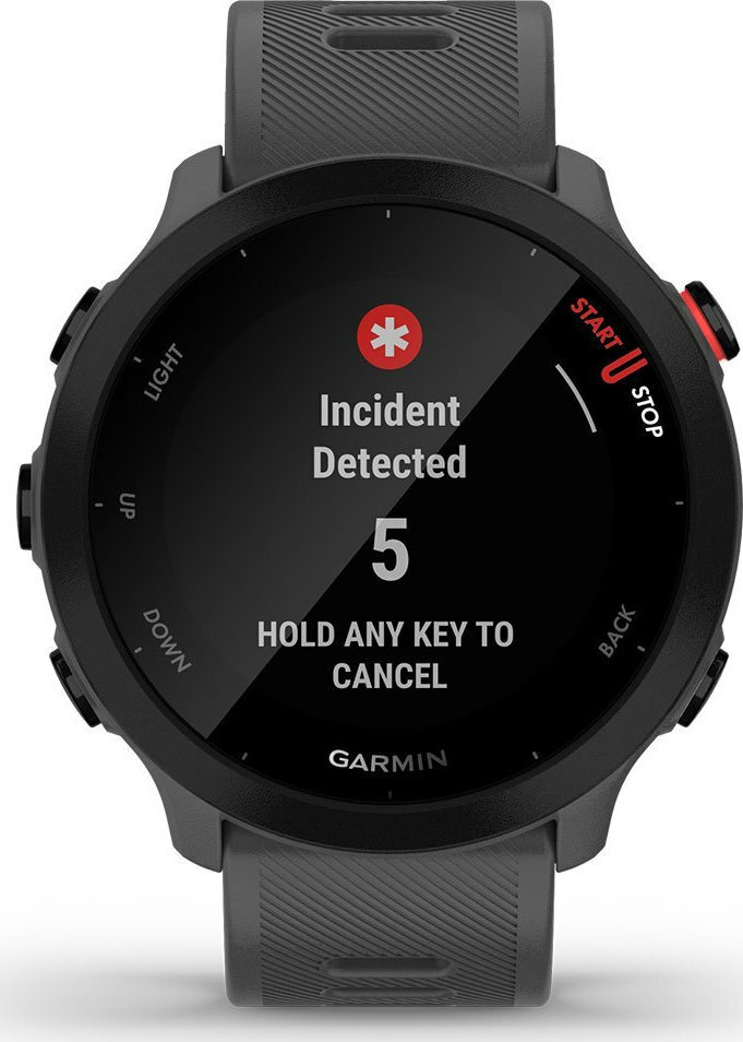 Garmin Forerunner 55 42mm