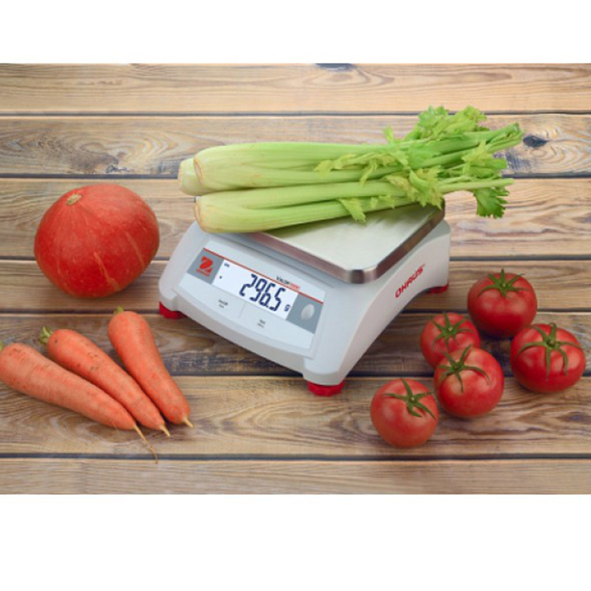Ohaus Ψηφιακή Ζυγαριά 0.5gr/3kg Λευκή V12P3 - Image 9
