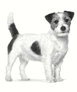 Alternative view of Royal Canin 3.5kg Ξηρά Τροφή Διαίτης για Ενήλικους Σκύλους Μικρόσωμων Φυλών