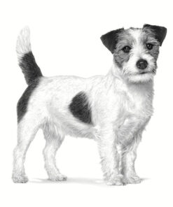 Alternative view of Royal Canin Anallergenic