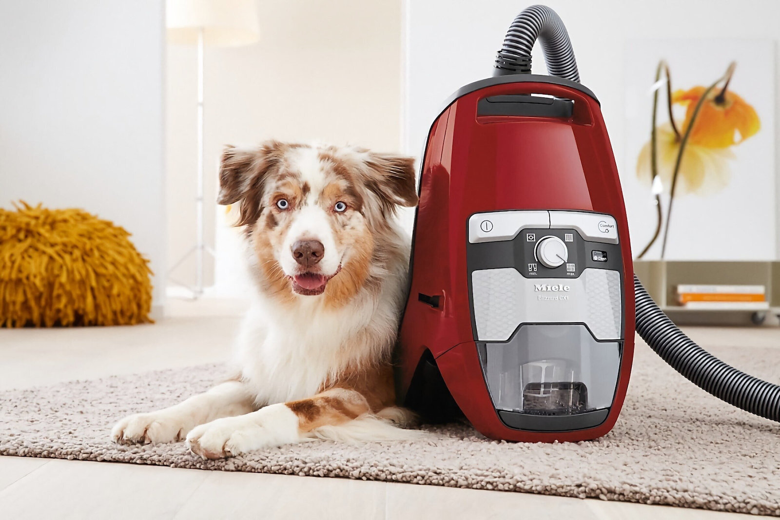 Miele Blizzard Cx1 Cat & Dog 890W με Κάδο Κόκκινη - Image 9