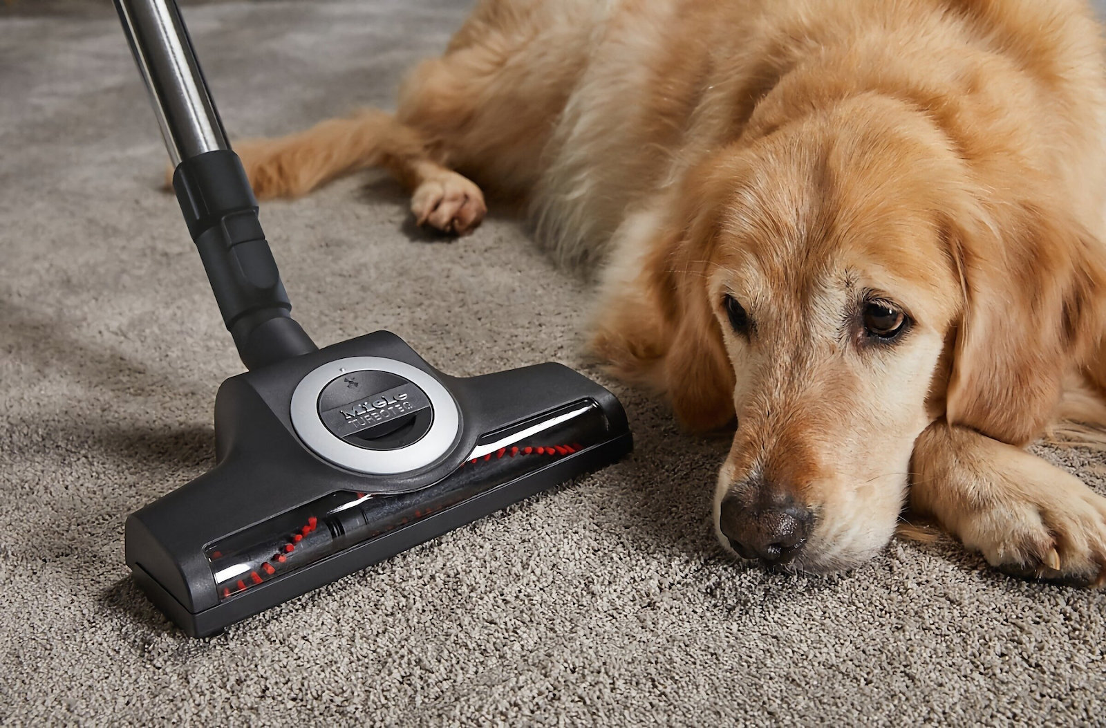 Miele Blizzard Cx1 Cat & Dog 890W με Κάδο Κόκκινη - Image 11