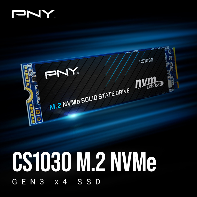 PNY CS1030 SSD 250GB M.2 NVMe PCI Express 3.0 M280CS1030-250-RB - Image 3