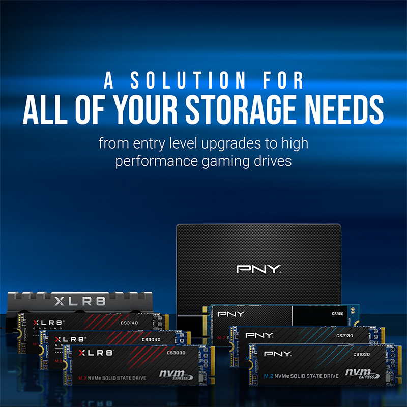 PNY CS1030 SSD 250GB M.2 NVMe PCI Express 3.0 M280CS1030-250-RB - Image 7