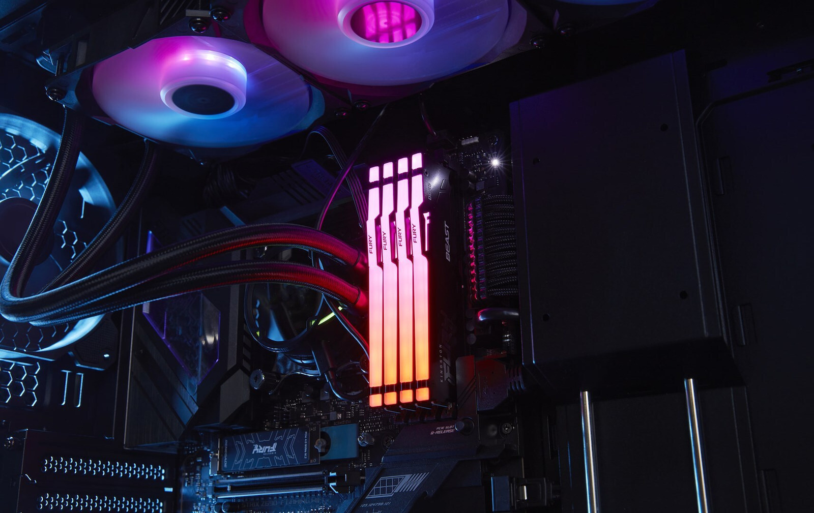 Kingston Fury Beast RGB DDR5 64GB RAM με 2x32GB Modules και Ταχύτητα 6000 για Desktop KF560C36BBEAK2-64 - Image 9
