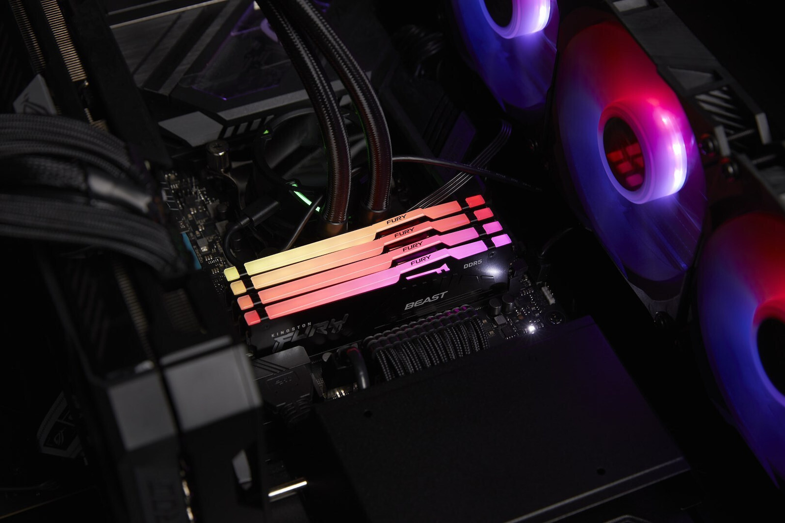 Kingston Fury Beast RGB DDR5 64GB RAM με 2x32GB Modules και Ταχύτητα 6000 για Desktop KF560C36BBEAK2-64 - Image 8