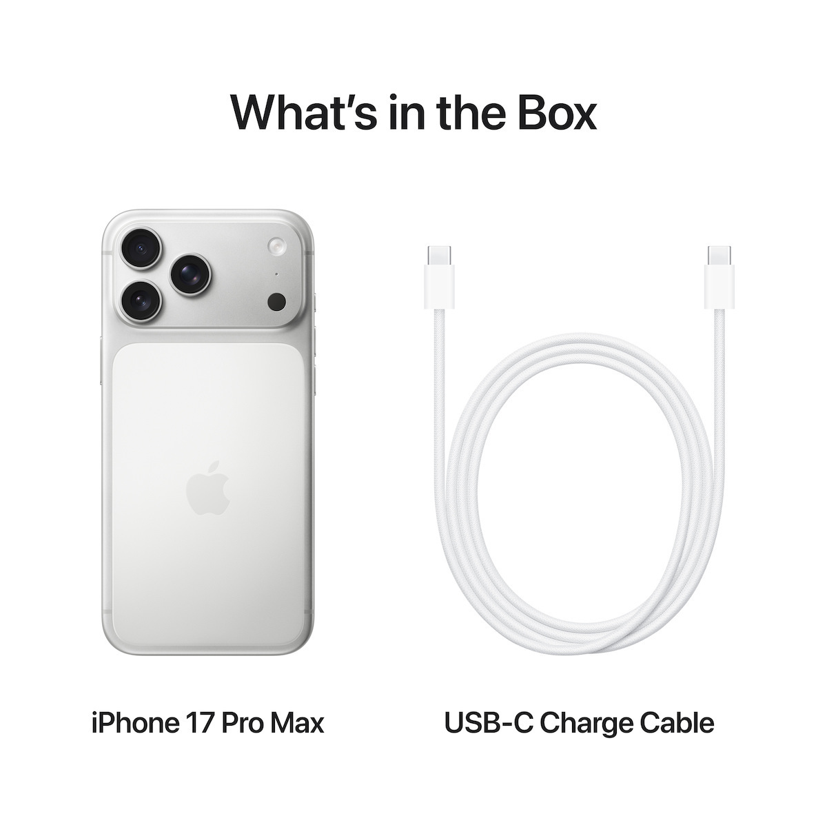 Apple iPhone 17 Pro Max (12/1TB) Silver - Image 6