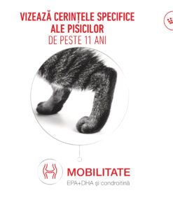 Alternative view of Royal Canin Ageing Υγρή Τροφή για Ηλικιωμένες Γάτες 12x85gr
