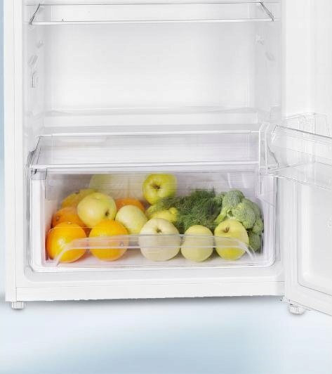 MPM Μονόπορτο Ψυγείο 190lt Υ122xΠ55xΒ56.5εκ. Λευκό MPM-200-CJ-29/E - Image 4