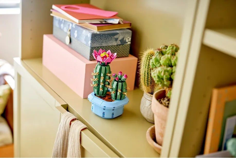LEGO Botanical Collection Flowering Cactus για 9+ Ετών 482τμχ 11509 - Image 6